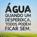 300x250px
