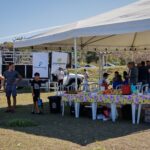 652382f2-25bc-4110-9069-de1165503cf9