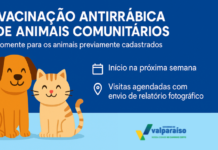 Valparaíso realiza 2ª feira de adoção e abre cadastro para vacinação antirrábica de 2026
