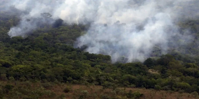 Copernicus: emiss&atilde;o global de gases por inc&ecirc;ndios &eacute; a menor em 24 anos