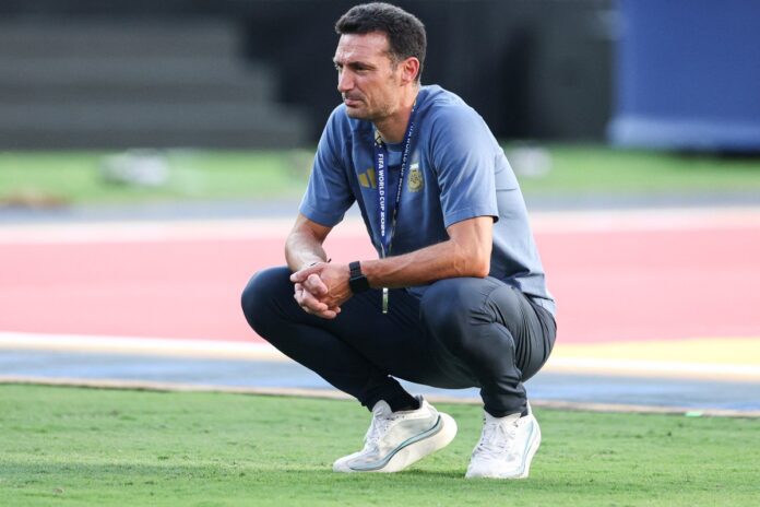 Lionel Scaloni rebate críticos e pede desculpas após vice da Argentina